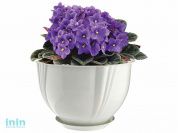 Кашпо Diana 5 л с поддоном, снежно-белый, BEROSSI