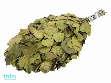 Веник ольховый, в упаковке, "Банные штучки" (БАННЫЕ ШТУЧКИ)